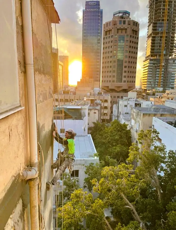 שיקום בטון